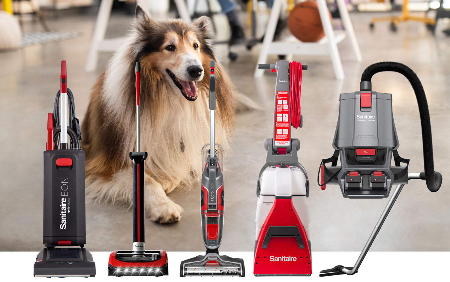 Furry Colleagues, Flawless Floors: Enhancing Workplace Cleanliness with Sanitaire® Portable Solutions