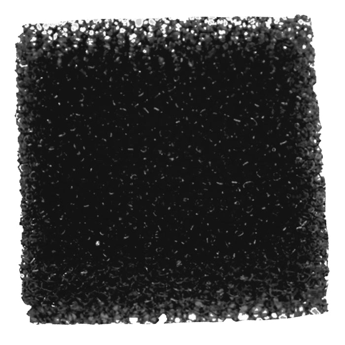 Pre Motor Filter 71480